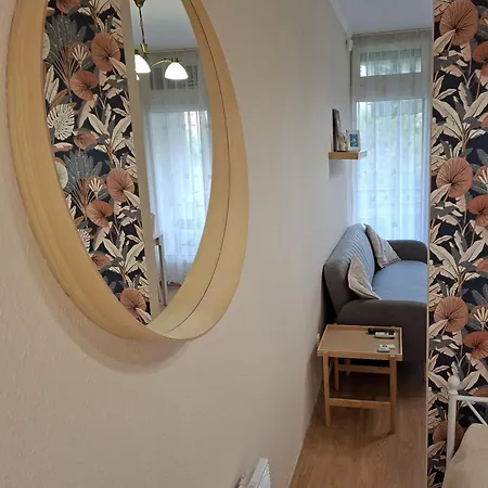 Termal Apartament *